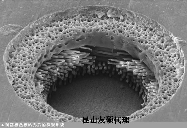 乐山蔡司乐山扫描电镜